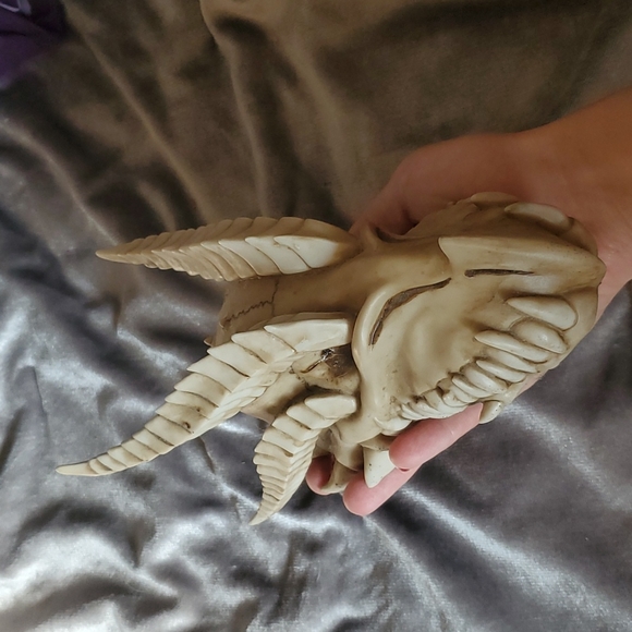 Dragon skull - Picture 2 of 4